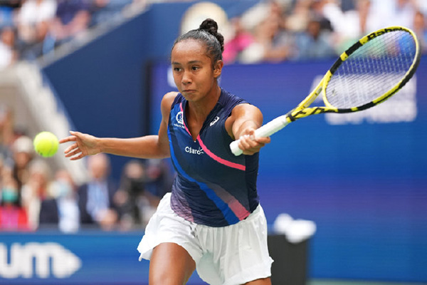 卫以及补充 卫以及补充