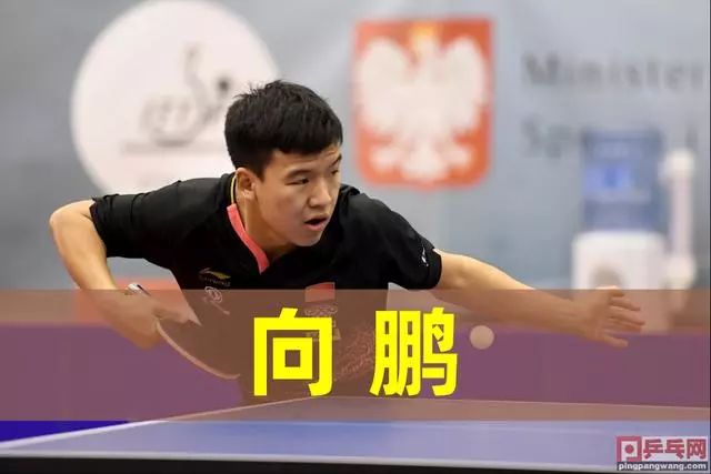 为他们奠定 为他们奠定