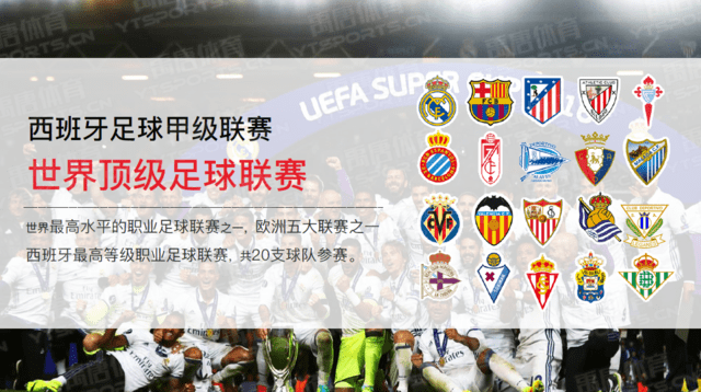 哈弗茨足总 哈弗茨足总